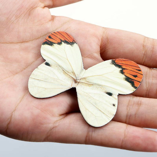 Magnetic Butterfly Bookmarks